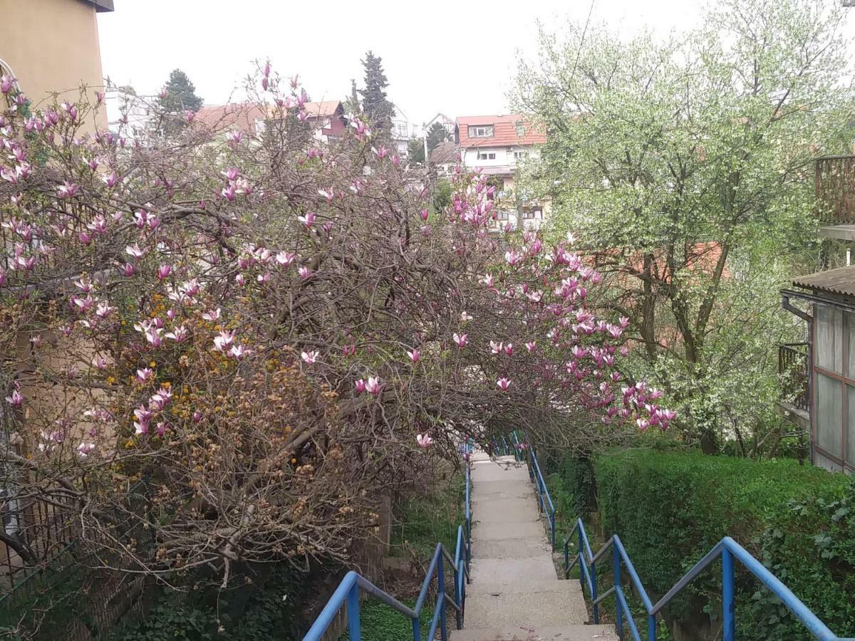 Oliva 4 Stars Διαμέρισμα Ζάγκρεμπ Εξωτερικό φωτογραφία